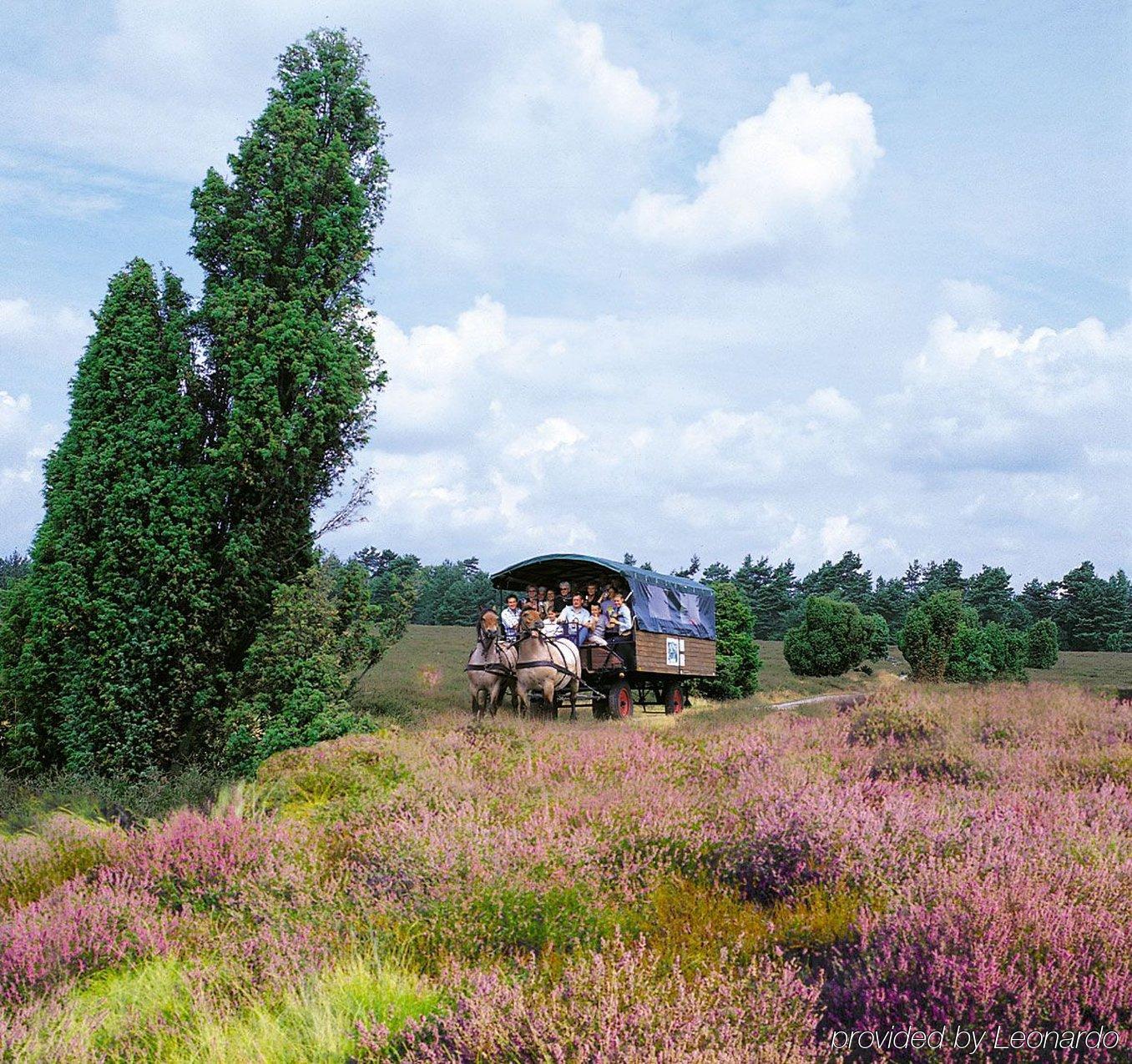 Morada Hotel Heidesee Gifhorn Luaran gambar